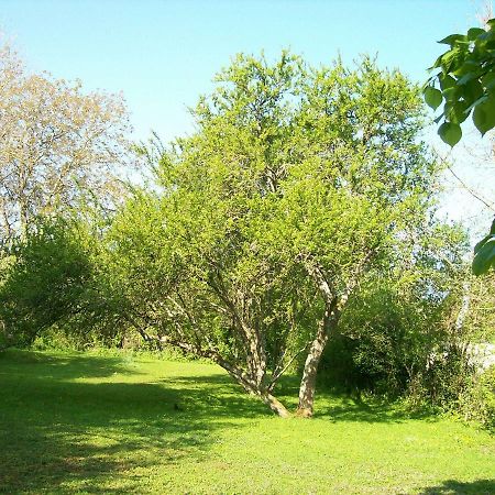 Chez Scallan B&B Sens sur Seille Exterior foto